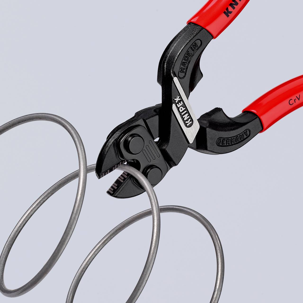 Sječice